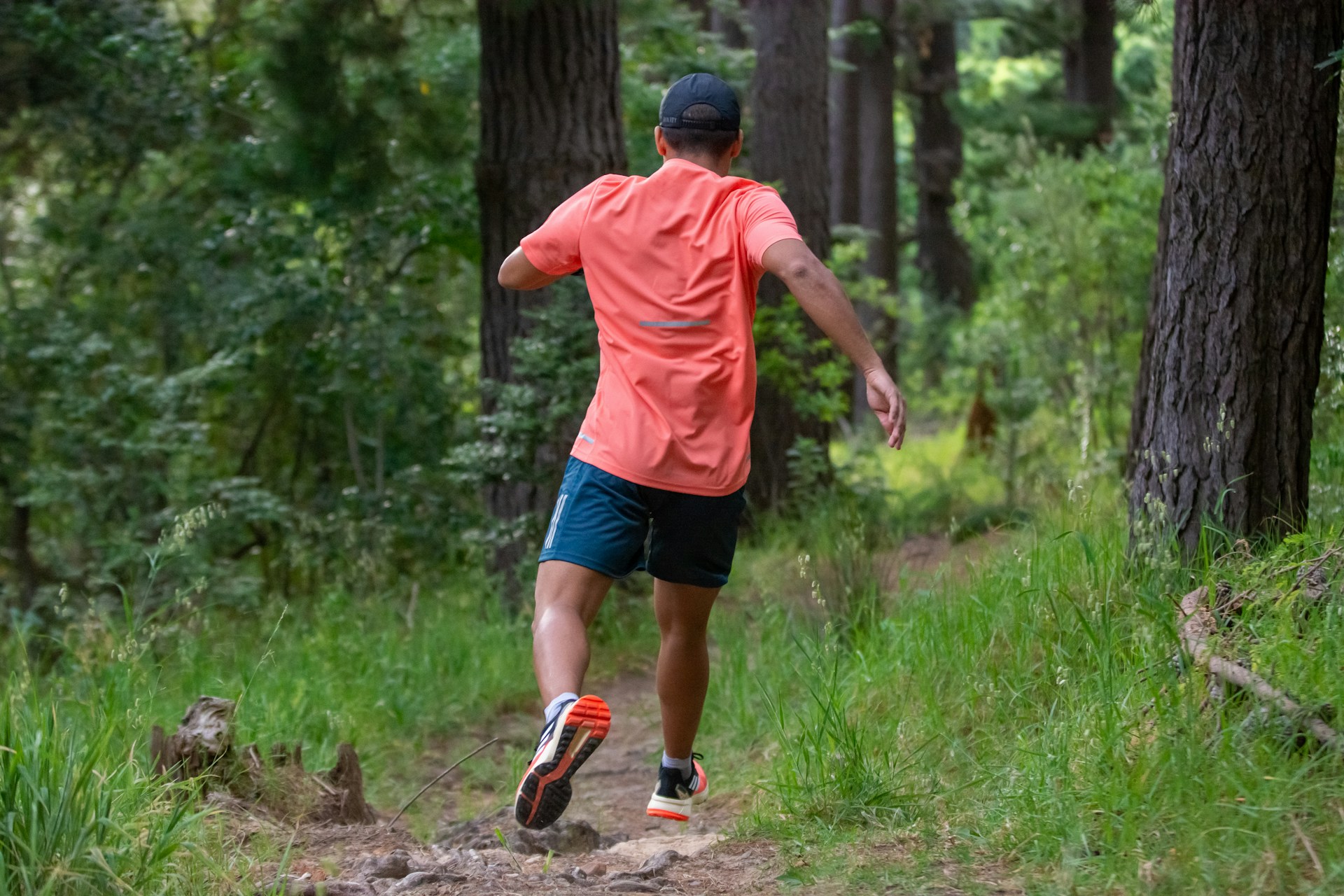 Trail Costa Brava 2026