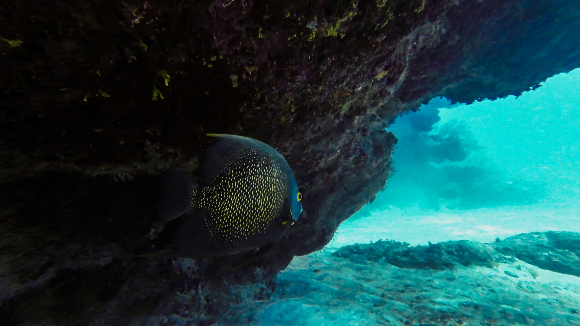 cuevas submarinas en la costa brava